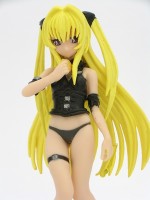 フォトギャラリー2 1
