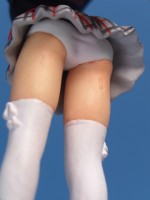 フォトギャラリー2 7