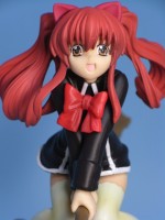 アロエ 6